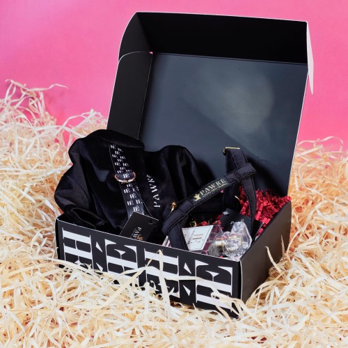 Zestaw prezentowy premium dla psa – elegancki box PAWRÉ