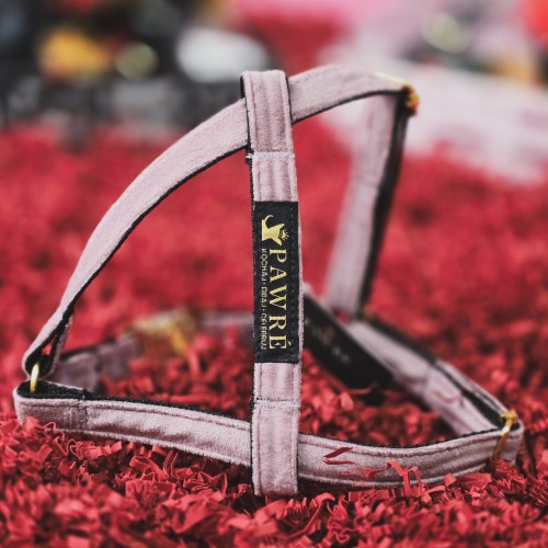 Szelki premium dla psa – wygodne i eleganckie