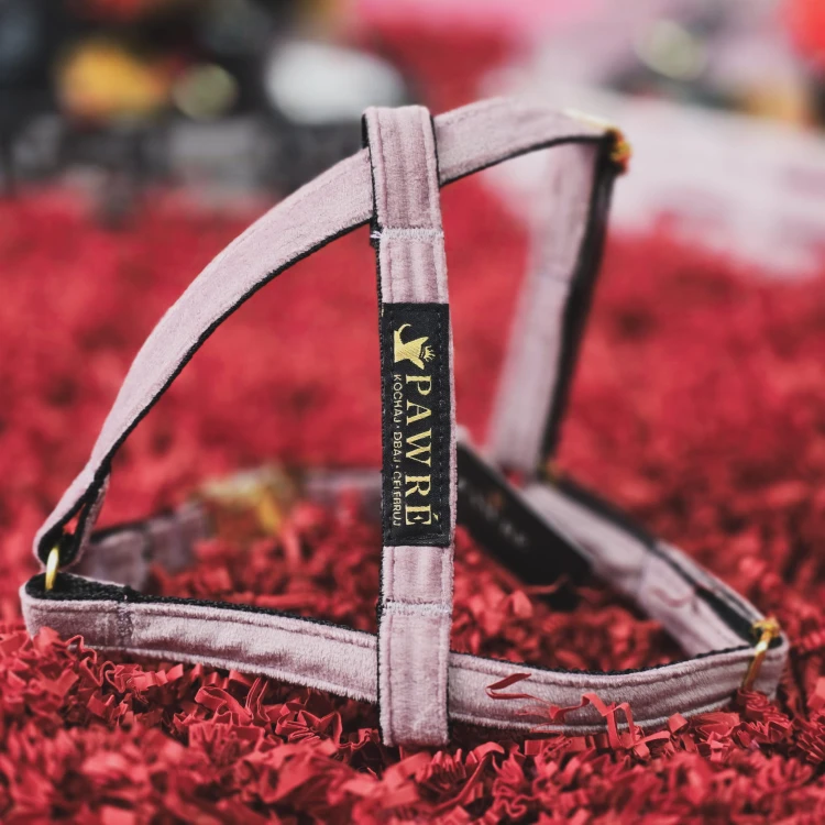 Szelki premium dla psa – wygodne i eleganckie