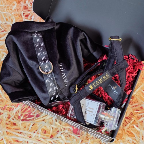 Zestaw prezentowy premium dla psa – elegancki box PAWRÉ