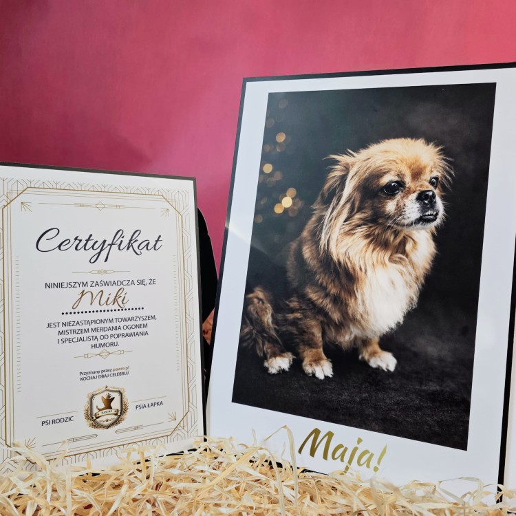 Stylowy obraz z motywem psa wykonany na płycie PVC